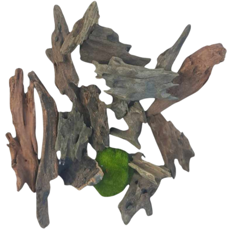 51d103c87ca3bb3eebf31763e6ff9b94.png