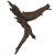 f4a4117f072594bd08d057646bb28fd5.png