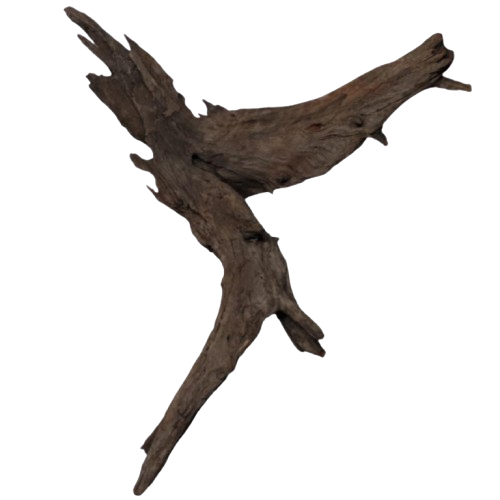 f4a4117f072594bd08d057646bb28fd5.png