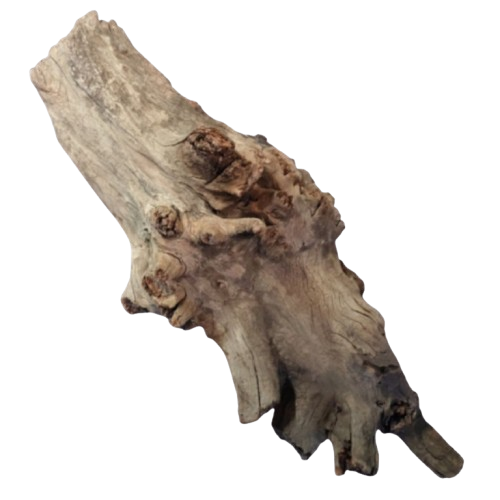 89138cac72f1facd13ca976b912909eb.png