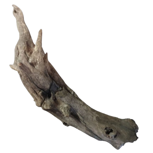 caf6e8d2c44a6f5af6249e7139b9af3d.png