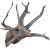 16d31d836e53d4aff4744e6b55110ffd.png