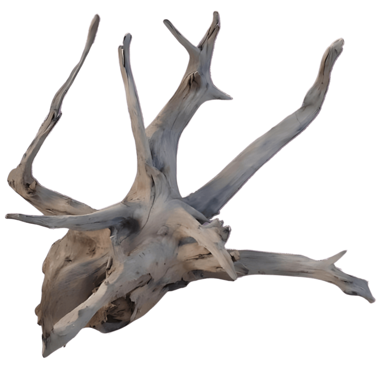 16d31d836e53d4aff4744e6b55110ffd.png