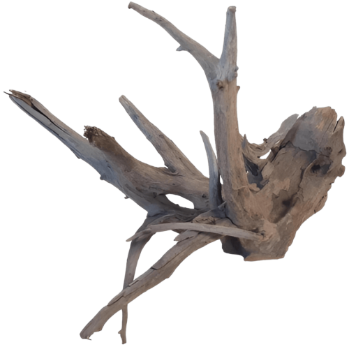 8ca30df3d88da9bce03b629f34f5bbf9.png