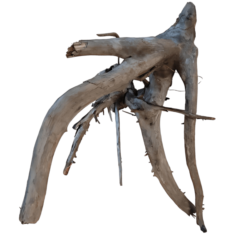 f0b2a3e09499ab27ce90a5713751c7d0.png