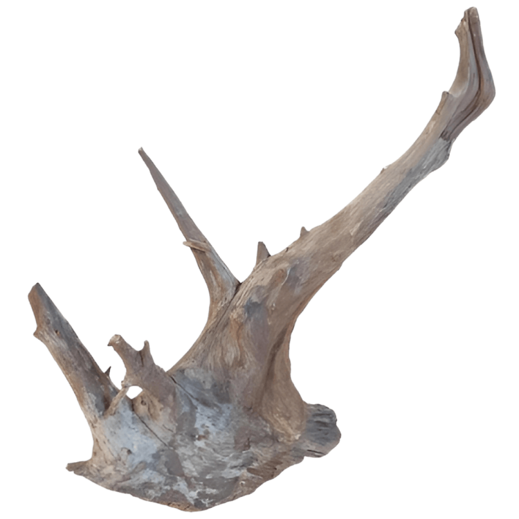 8c027eae0ad6aa5462bf3d50f569bf6c.png