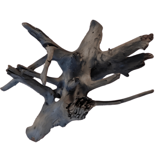 916472496b319400f2bb07c561b241a7.png