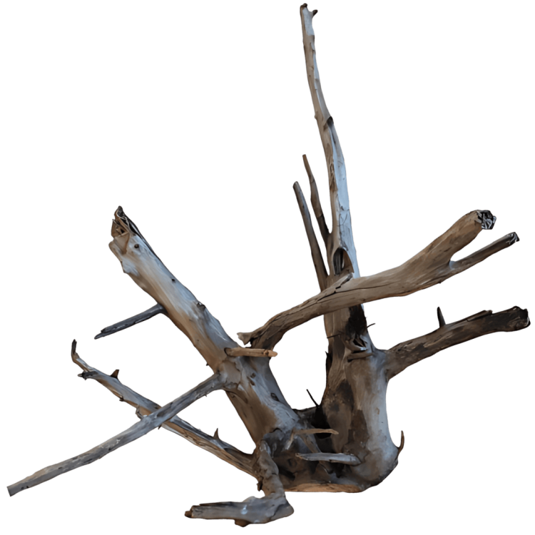 0fbaa85b10f77a18178d3f5db1771132.png