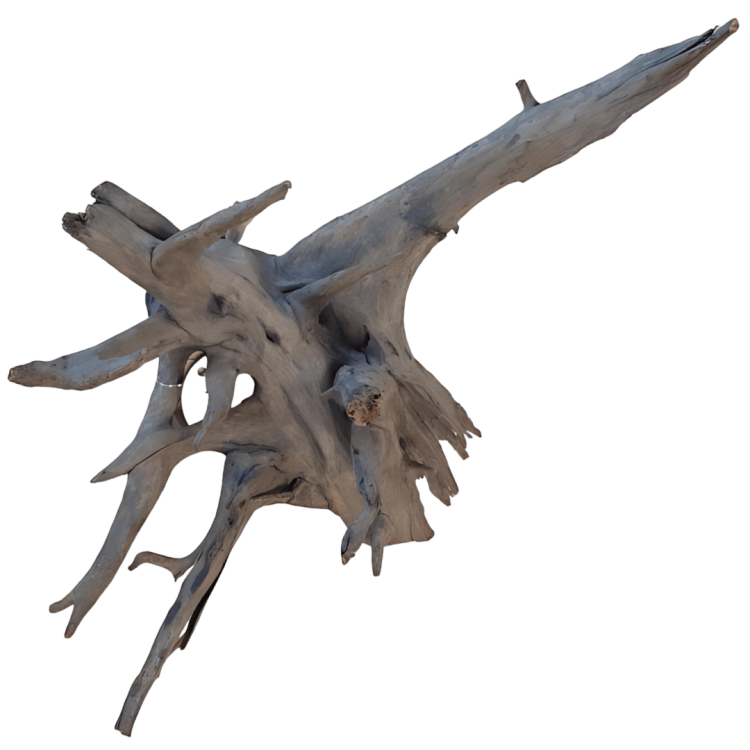 236bcc242b30ed6dfe522bc6dc007e37.png