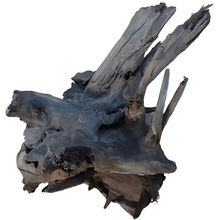64ebbbbf106e0e0a71f5bc8d333cbd0a.png