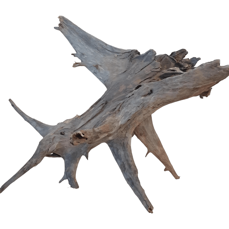 01085cfab8ac741ed5d7bcc4b930df3b.png