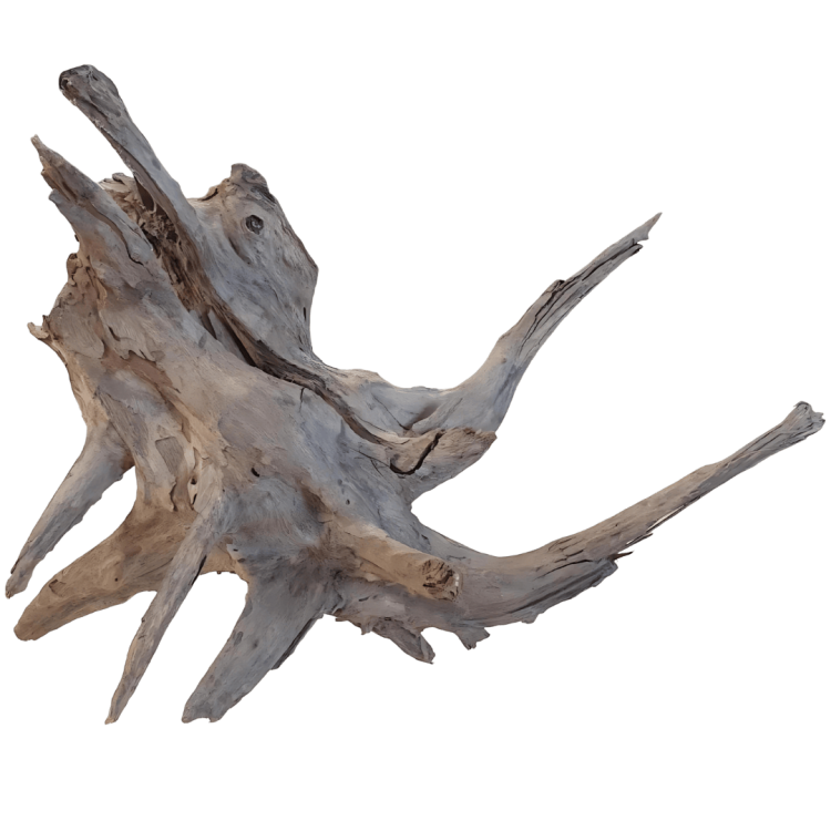 10e70daef9ec72ee9371cc7416e1c95a.png