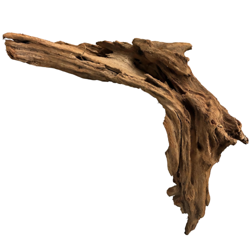 0fe6ed65a77c9f3ef0fe6b25356ea6a6.png