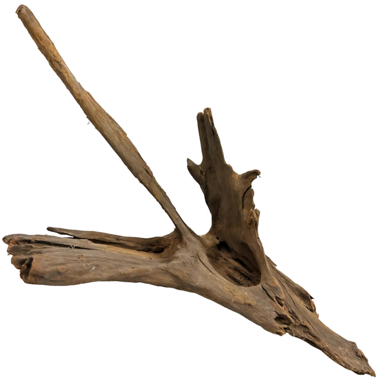 0260bdc4f6ba996d23b78f7b0e34ffae.png