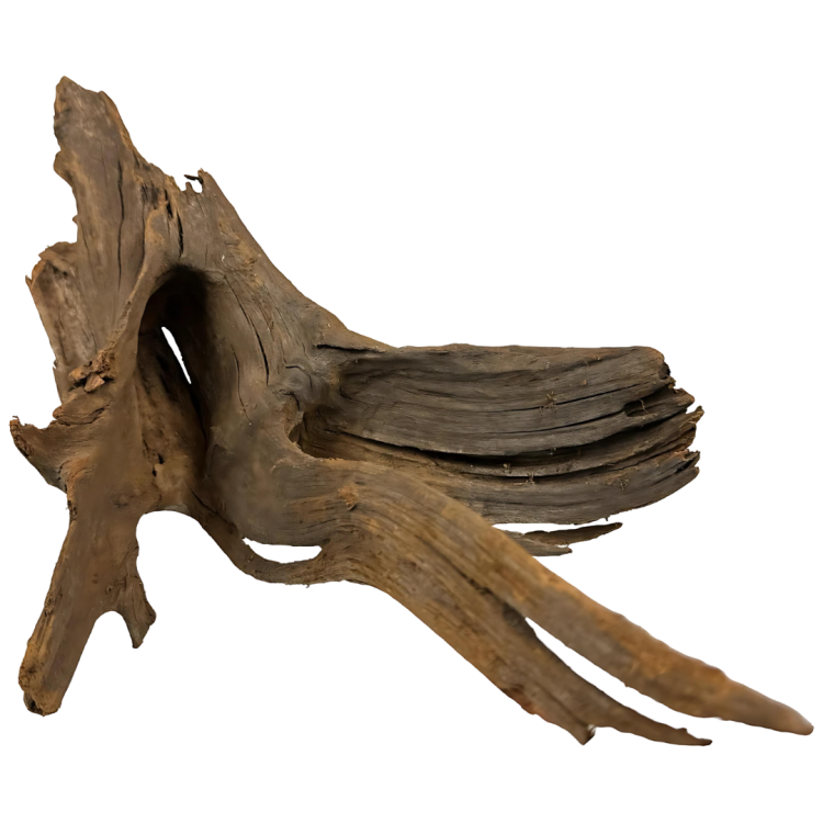 fce220a053a98c76dc5dee4f062d724e.png