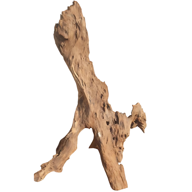 1be8343fc97e7b04b903b156c5d3aaaf.png