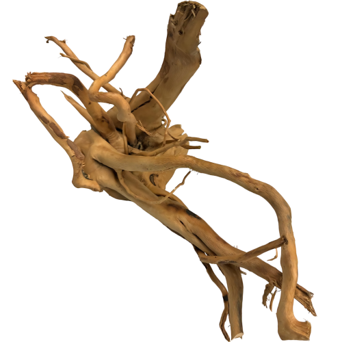 9dcec525bbede8e8587674fd626daf50.png