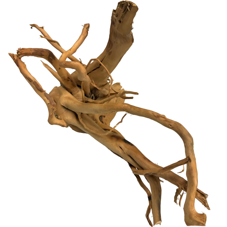 9dcec525bbede8e8587674fd626daf50.png