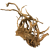 8901ef1ccf41202020231785590e2b07.png