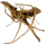 ee42771af0f66c1b945a27dc59302c10.png