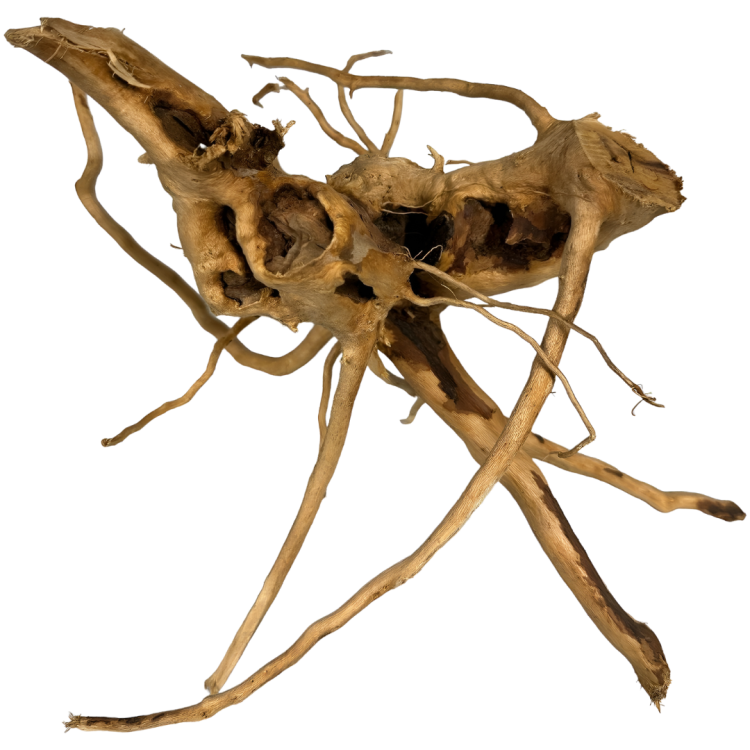 ee42771af0f66c1b945a27dc59302c10.png