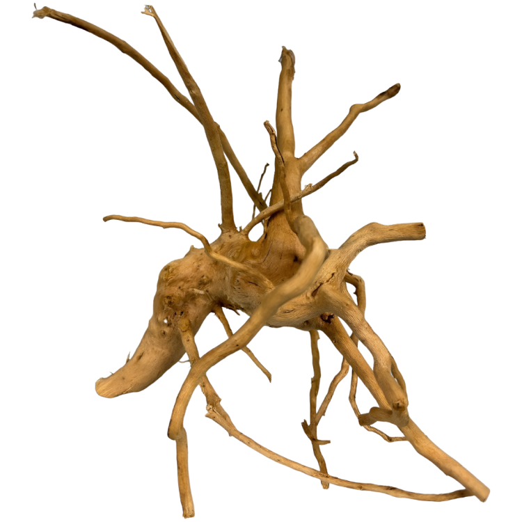 e7d222f5021a85dedf58dc8e0defadde.png