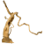 f9295202b059a1a390f4c2212a2996a8.png