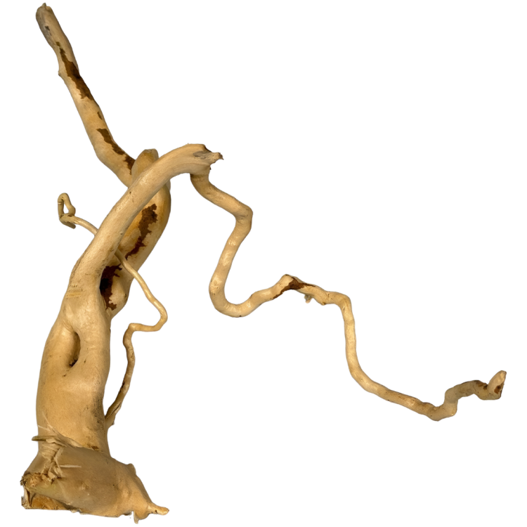 f9295202b059a1a390f4c2212a2996a8.png