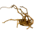 5dbefe6d8df2c8e316d815abf1924a26.png