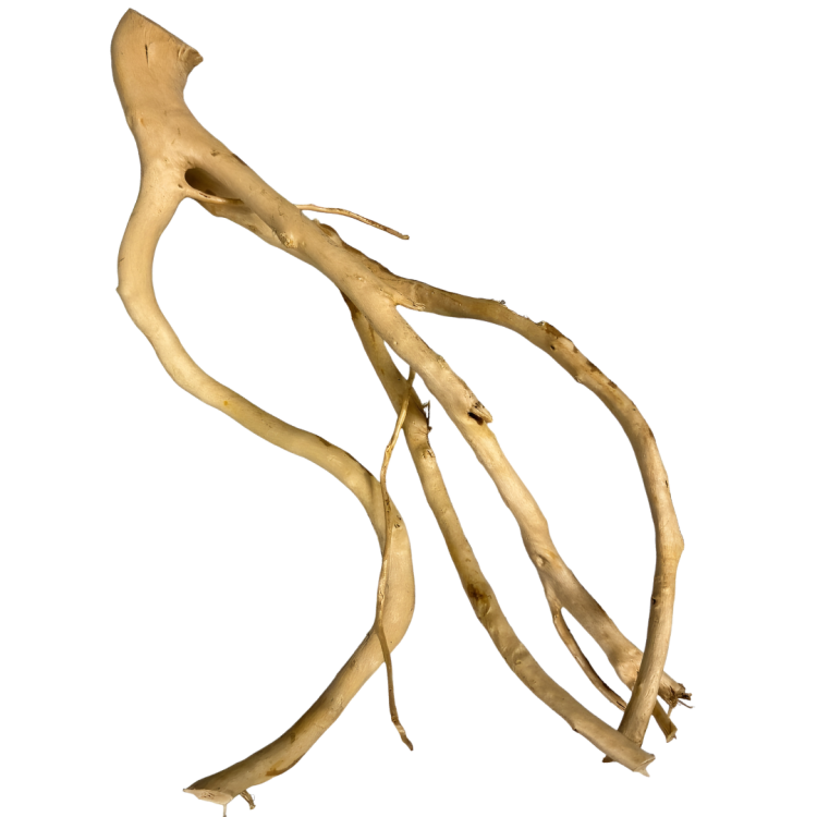 72621d09b4abfa600201fa1d191ab148.png