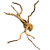 0e95f6db236c0754aa0bd3d70fd8ee55.png