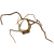c2a7a639c42b25fcd3ed7c41facdf359.png