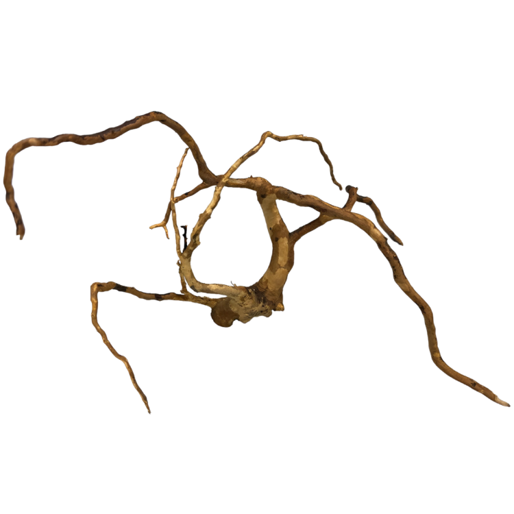 c2a7a639c42b25fcd3ed7c41facdf359.png