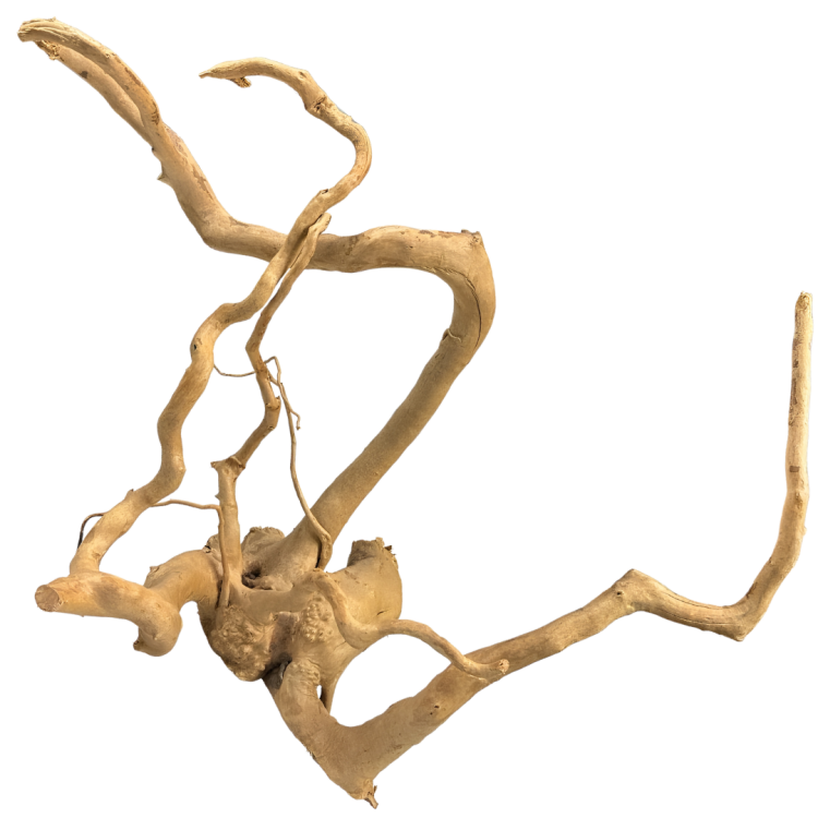 8fe6482d1a10358e09429d8cceae865a.png