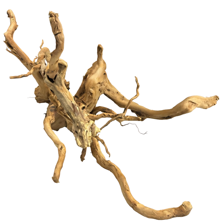 7f4ea5346c596e3d6c876c84b2749a0c.png
