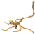 8e308f0aaf36281e98ed856dd7450c7a.png