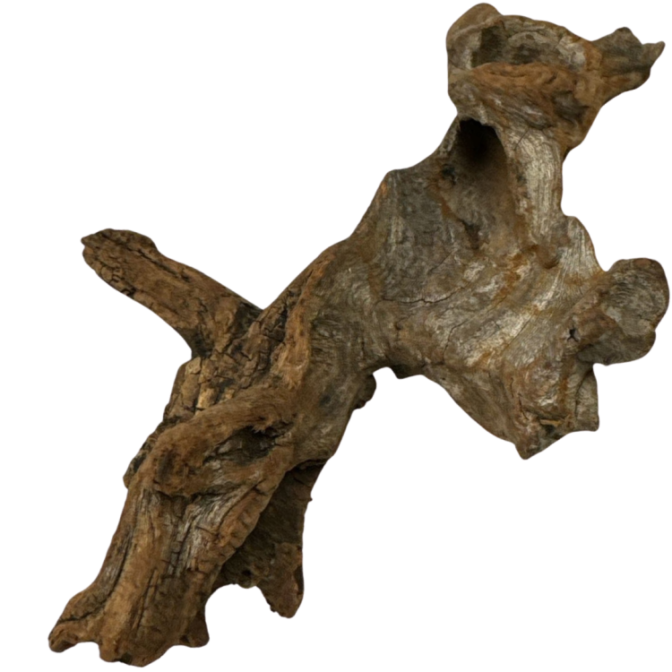 1079106bdf5b2ecd213642ff07f40167.png