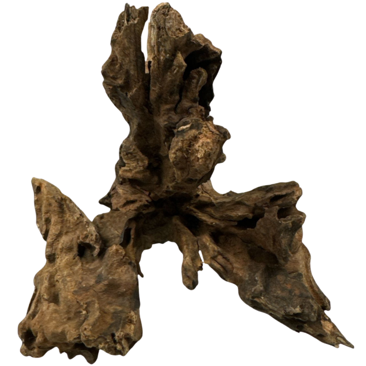 633e0f41099bce0c355d0882dbb52191.png