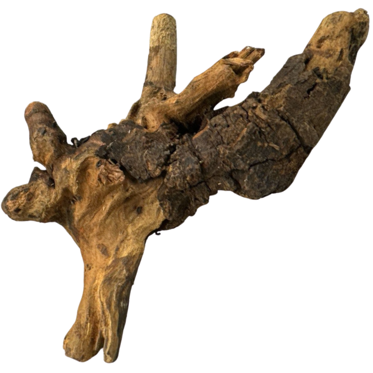 a2c81bf2a76f7330bd389bcfffe8bd10.png