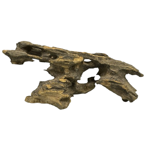 d997a4dab1751266fade00a0e44a4033.png