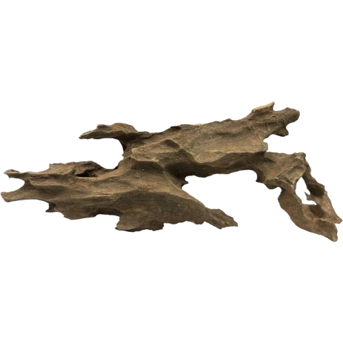 f2fae3f434910d447d4c1a23185c1525.png