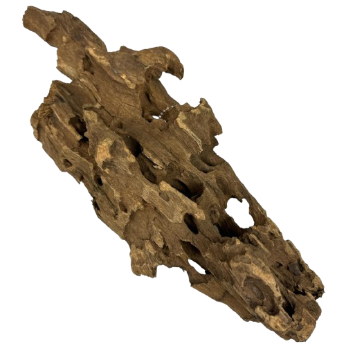 3f33397cebbef9d6bc50e2730746a0a0.png