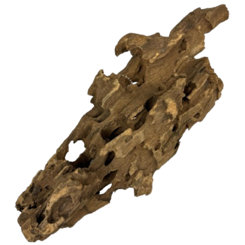 81d9028db11ceaf0bdd084ee6ae8051b.png