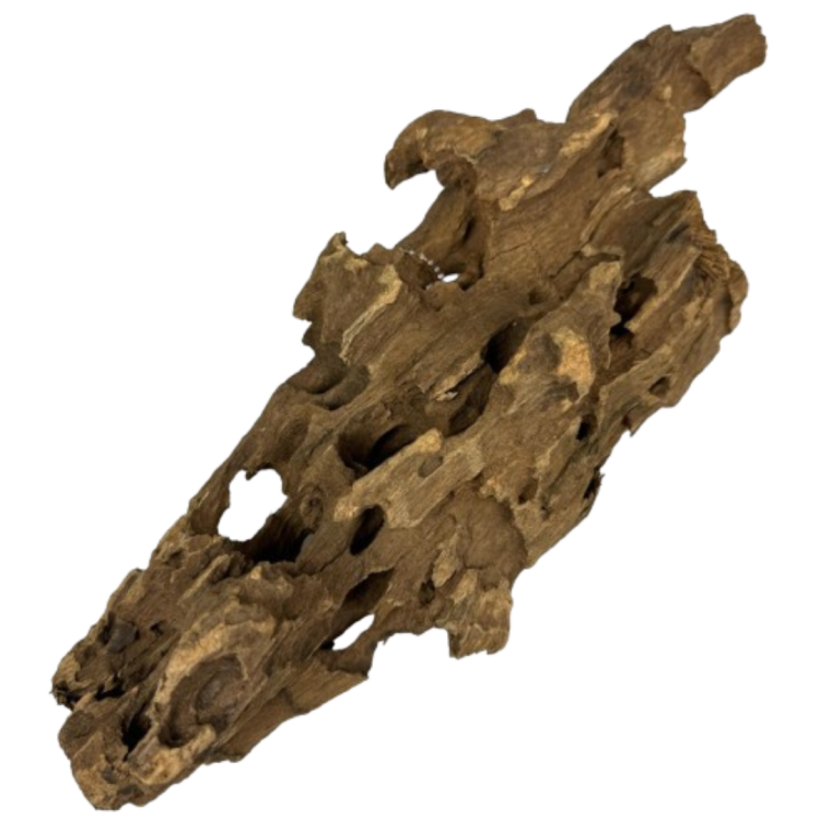81d9028db11ceaf0bdd084ee6ae8051b.png