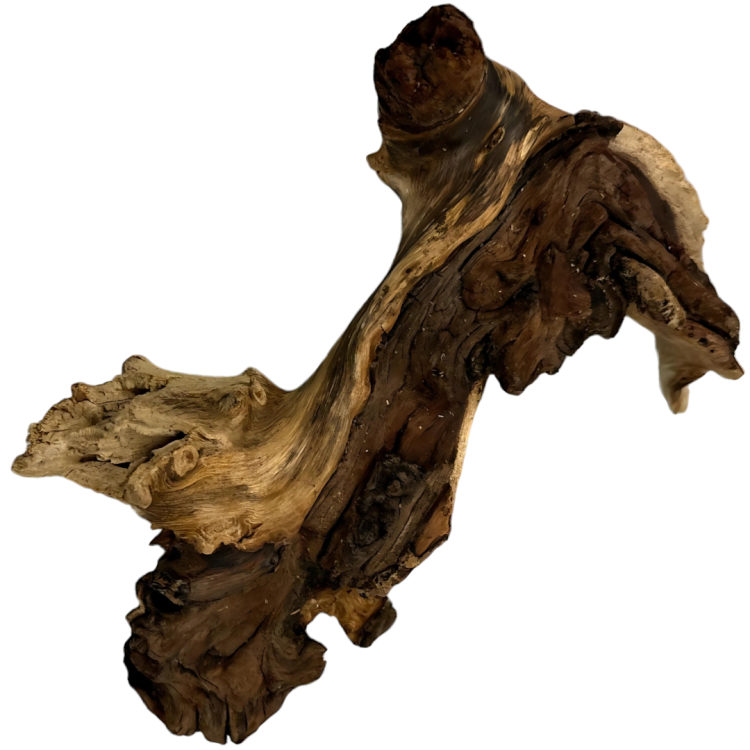 f3d3ed1e547e6a0eab39842f1271ed8a.png