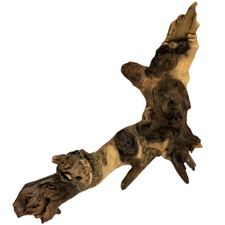 981a5fc2bafbd5c21ac904b0c7995764.png