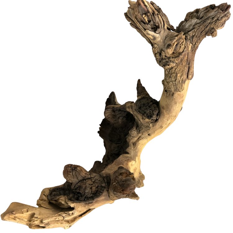 a60f145c318f9534cb71553839abb670.png