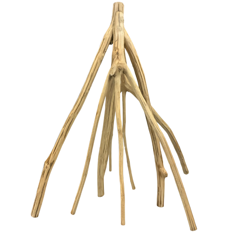 d10be321c40ff2c5b605cba93df79c27.png