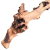 1694cbfc7811a9db72ff295f093ac692.png