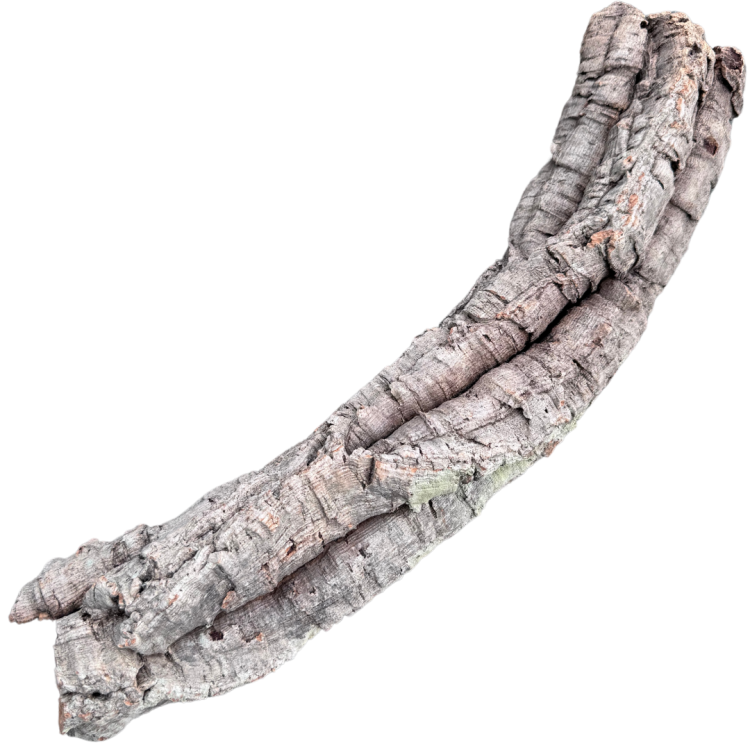 b83789c2442f6a394396390db0e29f6e.png